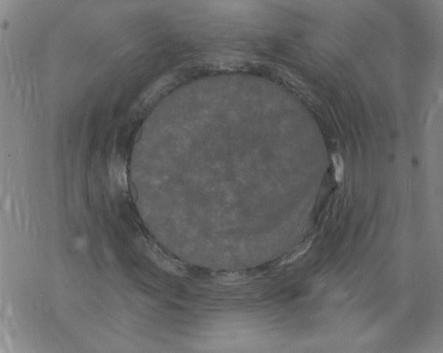 X0000073731155200608311838