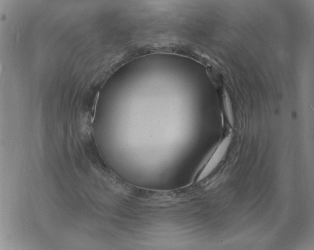 X0000073731156200608311838