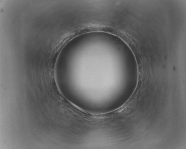 X0000073731157200608311838