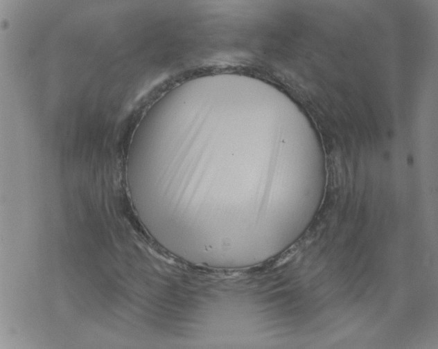 X0000073731158200608311838