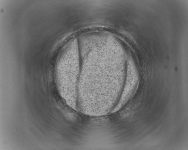 X0000073731159200608311838