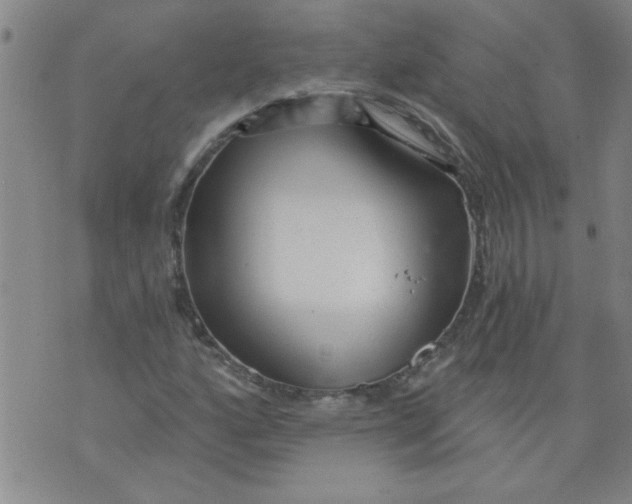 X0000073731160200608311838