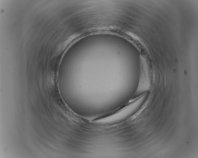 X0000073731161200608311838