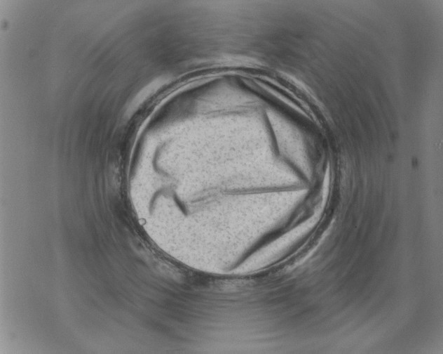 X0000073731163200608311838