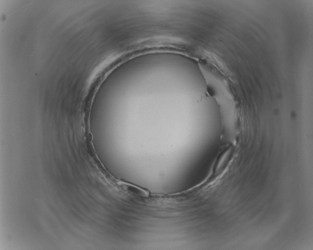 X0000073731164200608311838