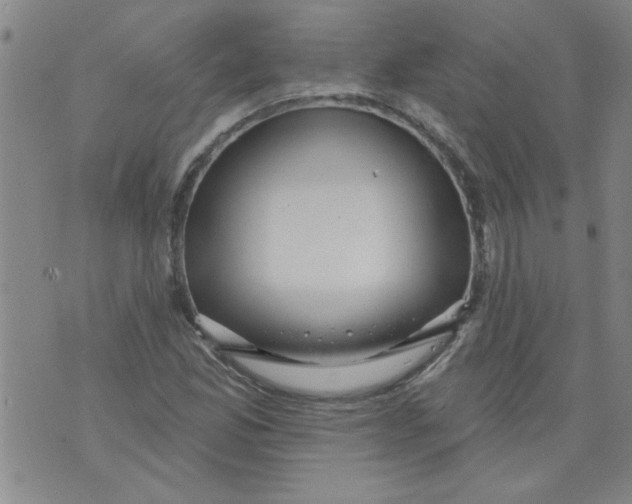 X0000073731165200608311838