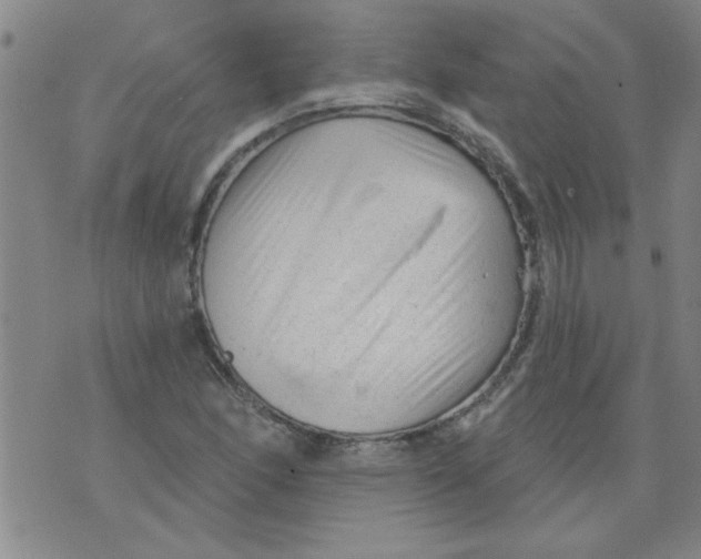 X0000073731166200608311838