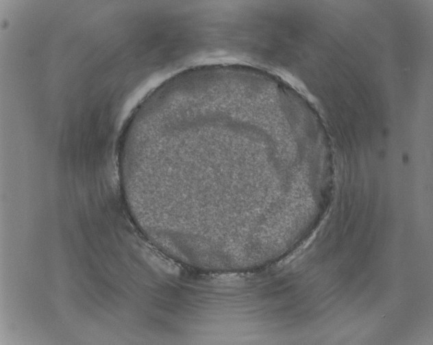 X0000073731167200608311838