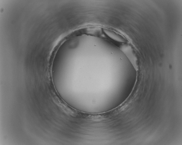 X0000073731168200608311838