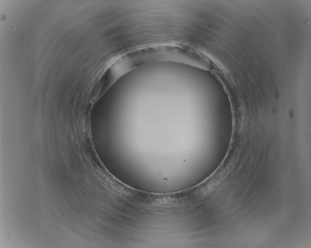 X0000073731169200608311838