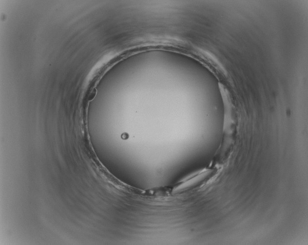 X0000073731172200608311838