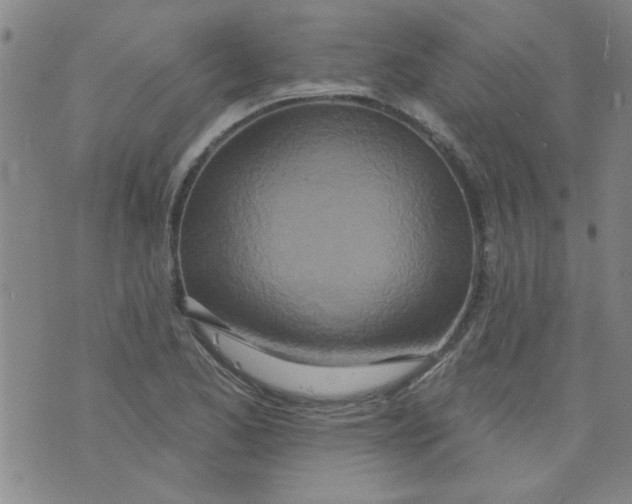 X0000073731173200608311838