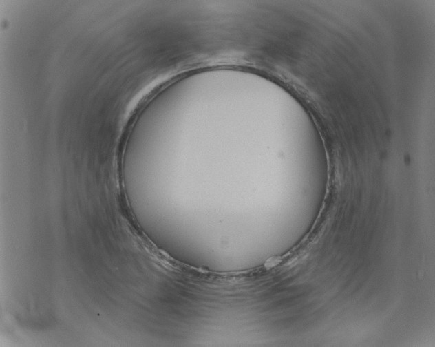 X0000073731174200608311838