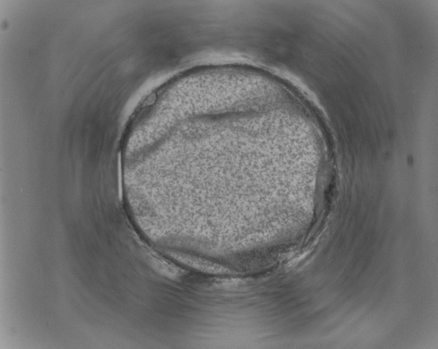 X0000073731175200608311838