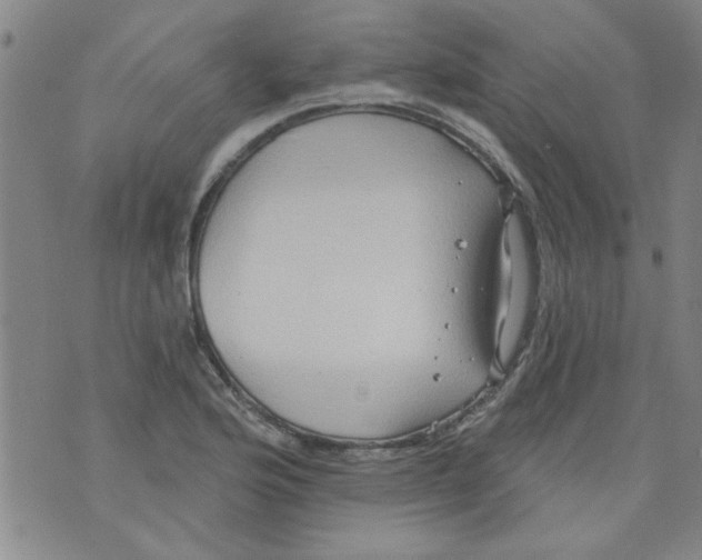 X0000073731176200608311837