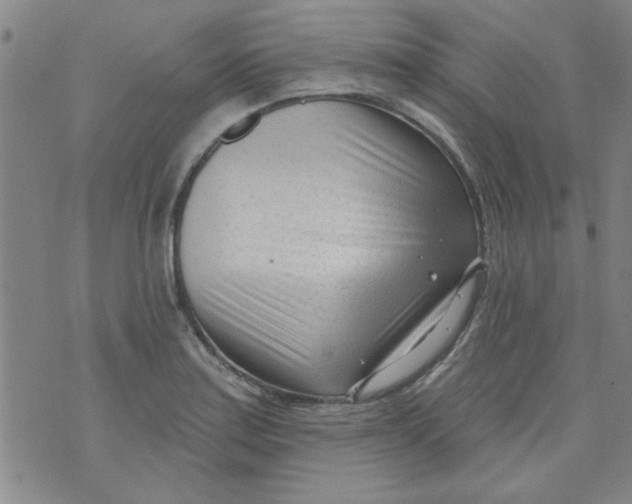 X0000073731179200608311837