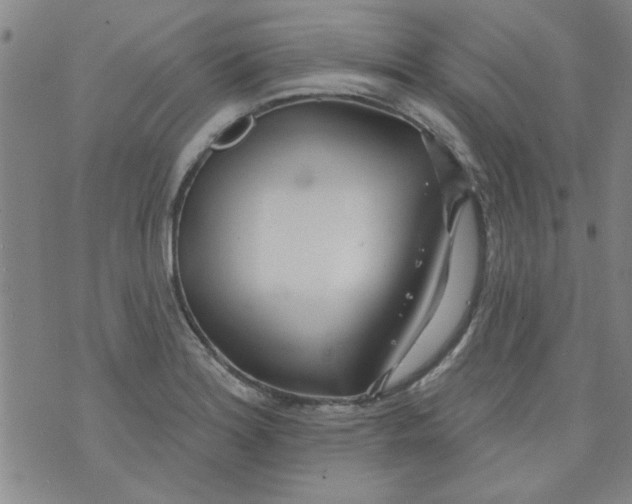 X0000073731180200608311837