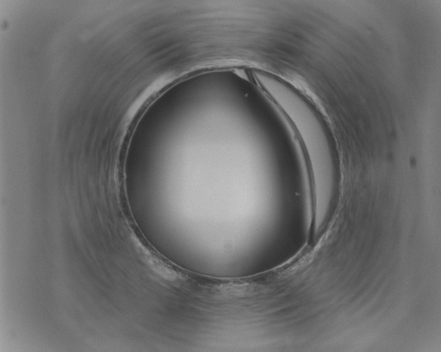 X0000073731181200608311837