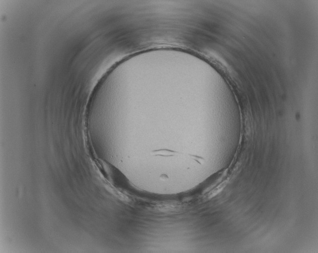 X0000073731182200608311837