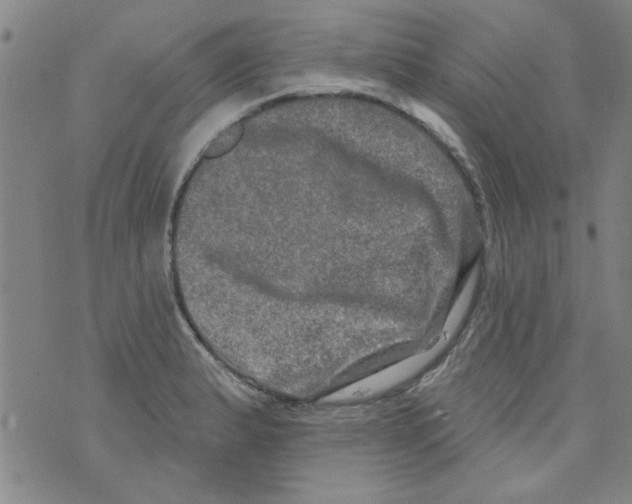 X0000073731183200608311837