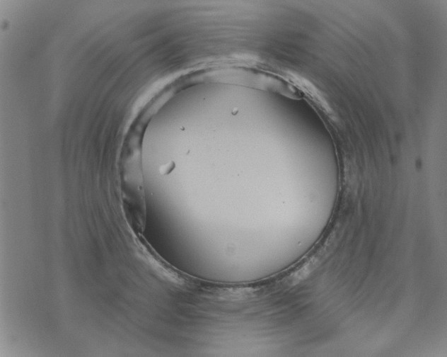 X0000073731184200608311837