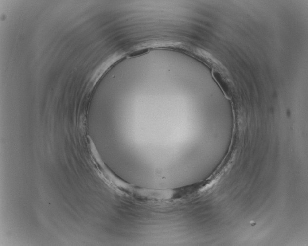 X0000073731185200608311837