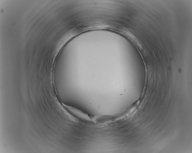 X0000073731186200608311837