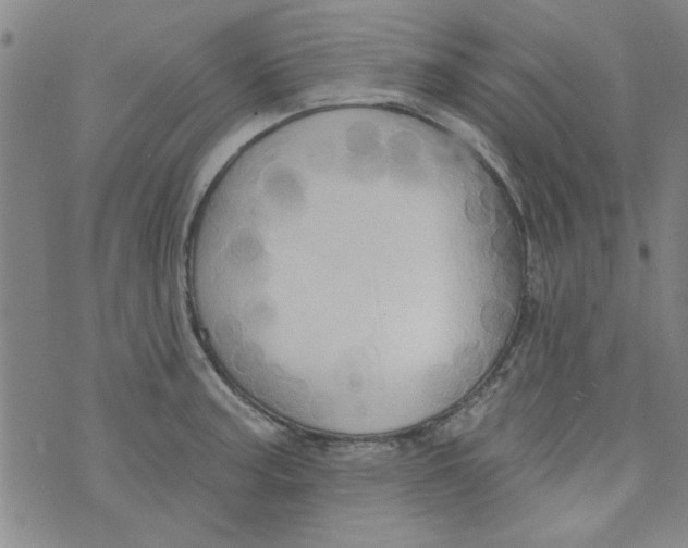 X0000073731187200608311837