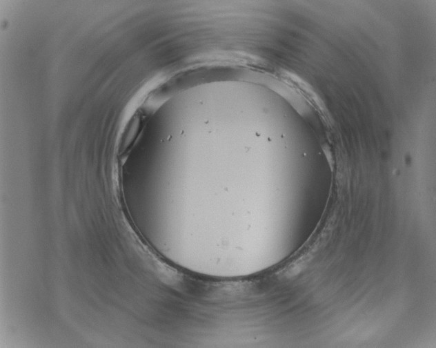 X0000073731188200608311837