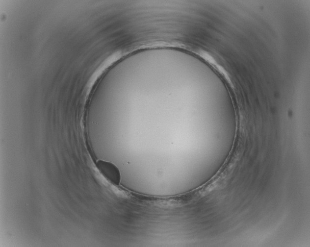 X0000073731189200608311837