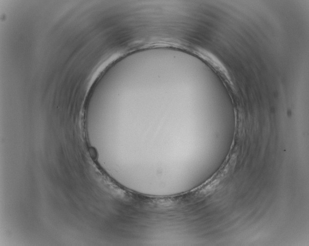 X0000073731190200608311837