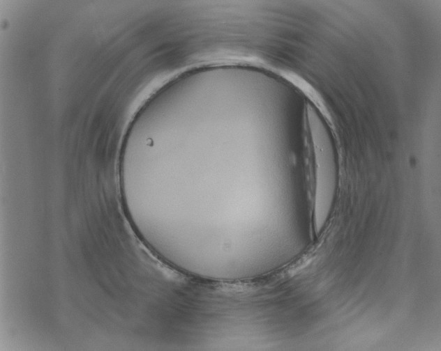 X0000073731191200608311837