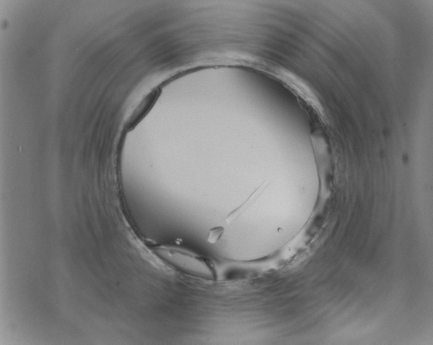 X0000073731192200608311837