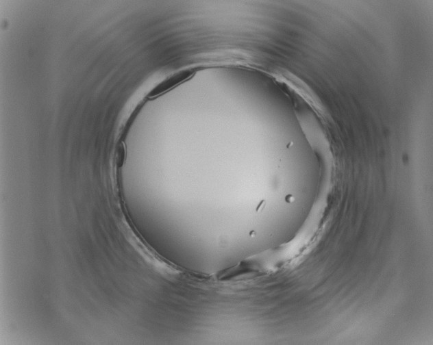 X0000073731196200608311837