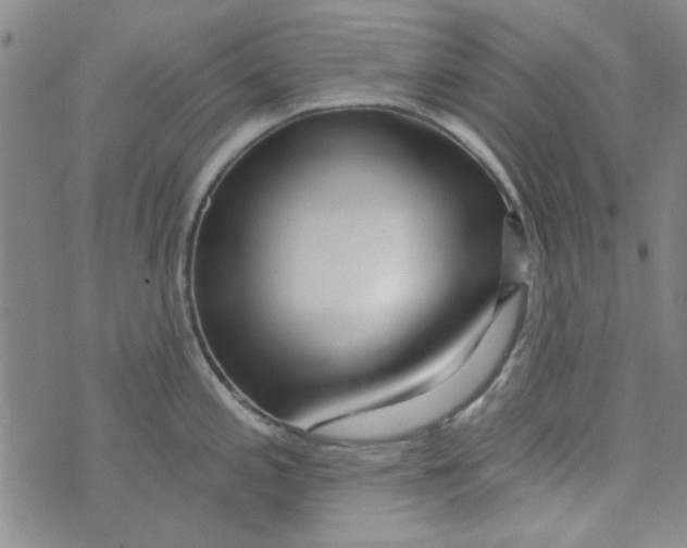 X0000073731197200608311837