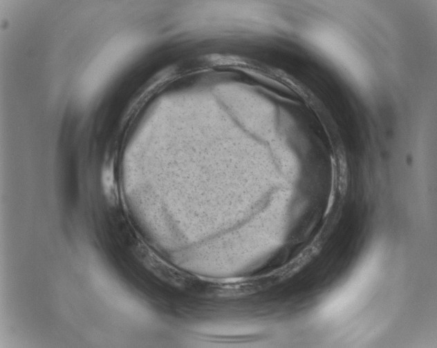 X0000073731198200608311837