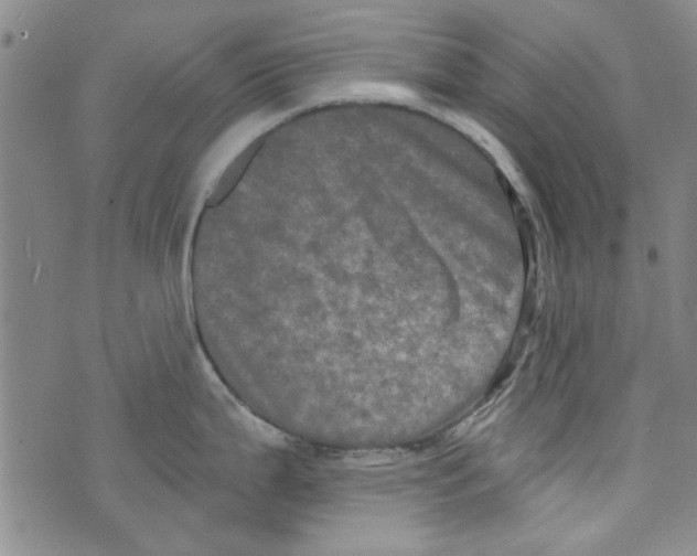 X0000073731199200608311837