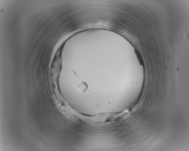 X0000073731200200608311837