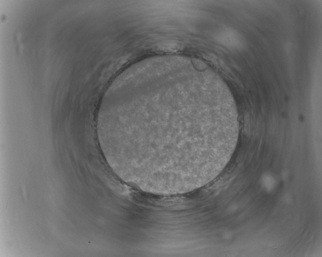 X0000073731201200608311836