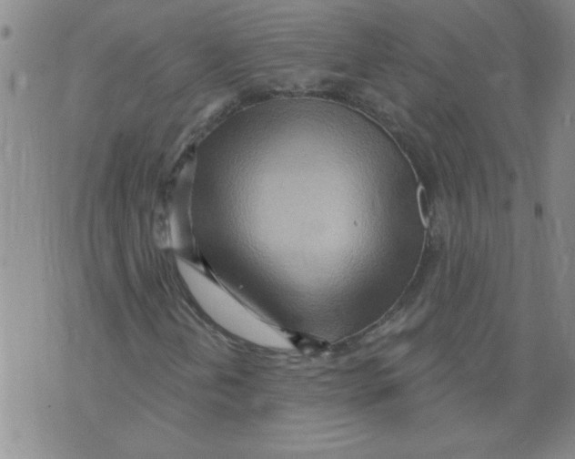 X0000073731202200608311836