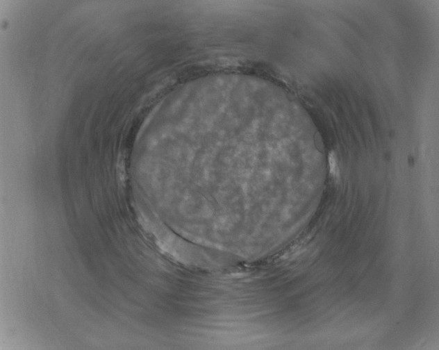 X0000073731203200608311836