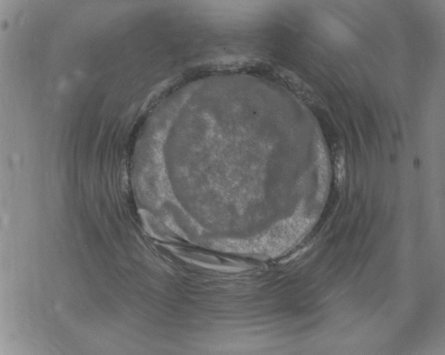 X0000073731204200608311836