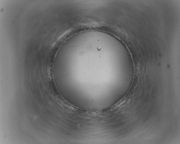 X0000073731205200608311836