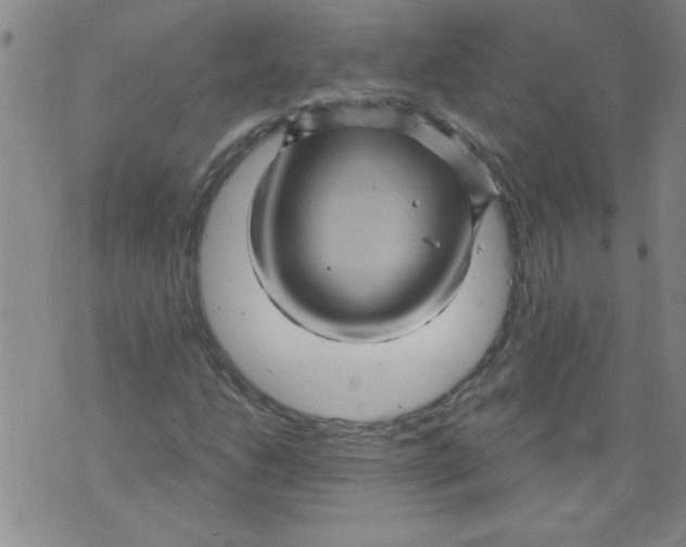 X0000073731206200608311836