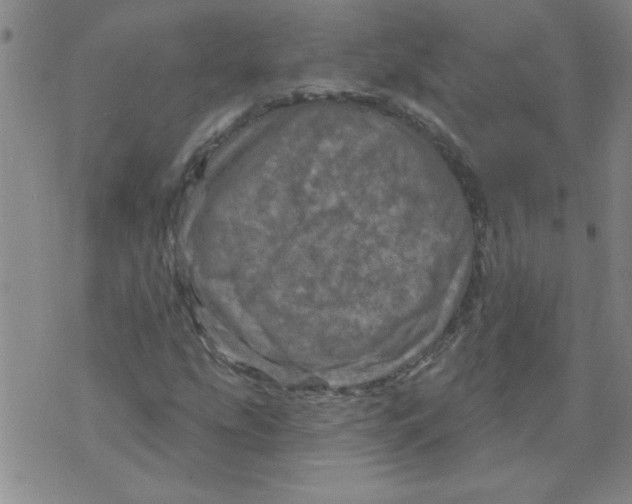 X0000073731207200608311836