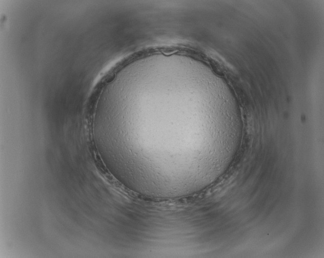 X0000073731208200608311836