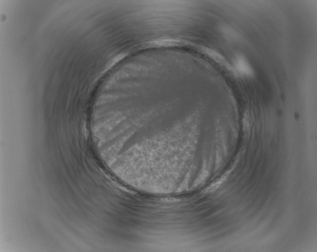 X0000073731209200608311836