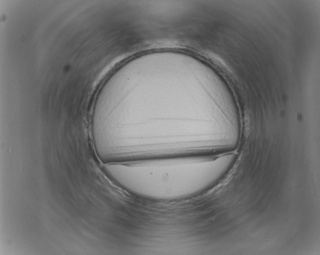 X0000073731212200608311837