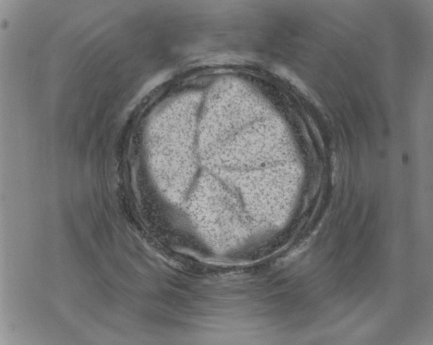 X0000073731213200608311837