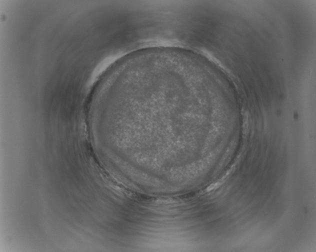 X0000073731215200608311837